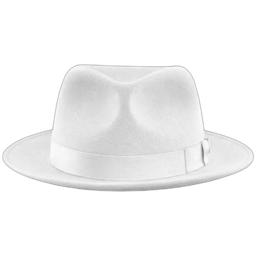 Fedora